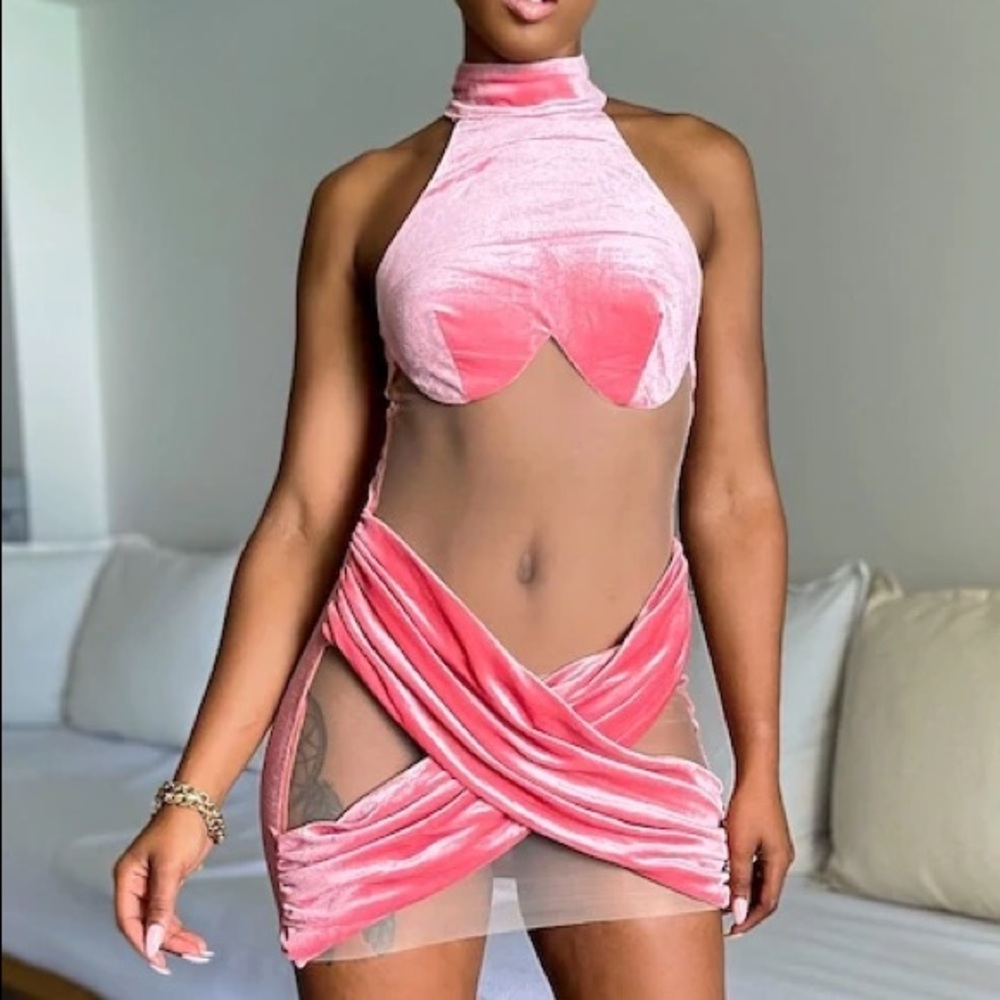 NWT Pink Mesh/Velvet Dress